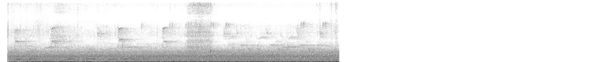 Chouette rayée - ML331296451