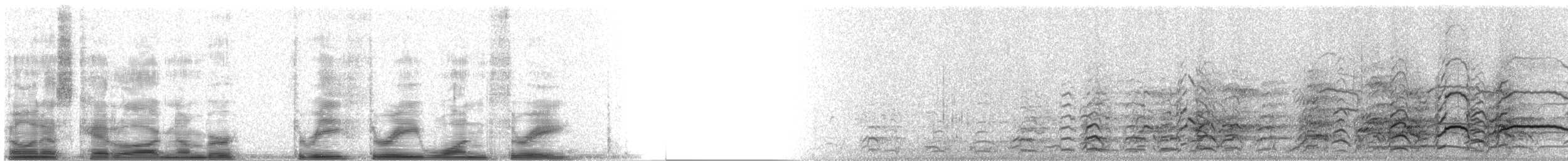 Common Gull (European) - ML3313