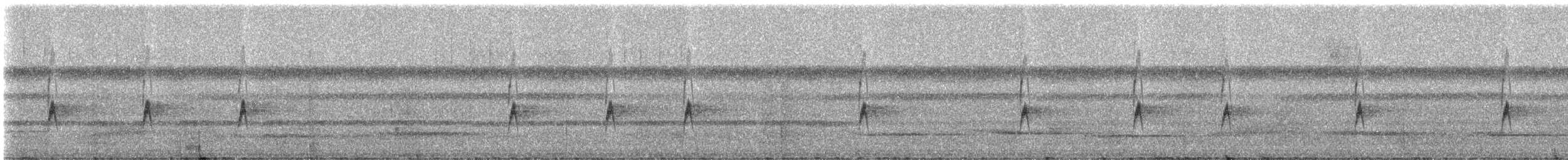 hvitstrupepivi - ML331305