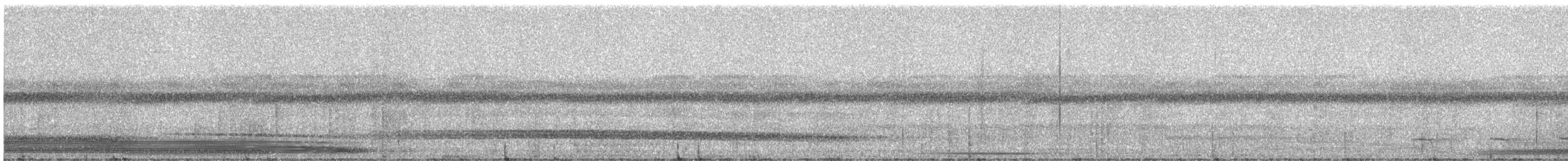 Capuchinbird - ML331308