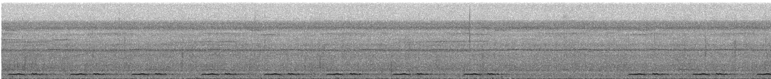 Marmorwachtel - ML331320