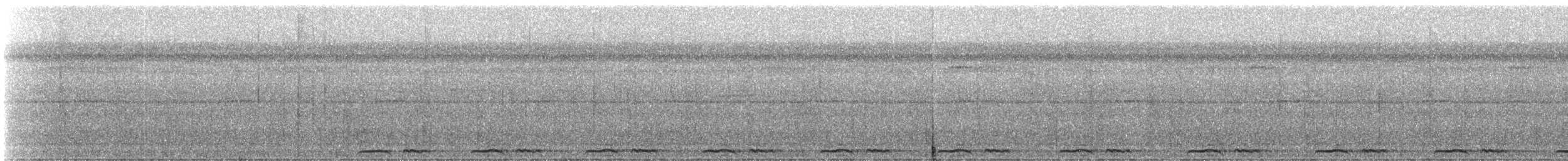 Marmorwachtel - ML331321