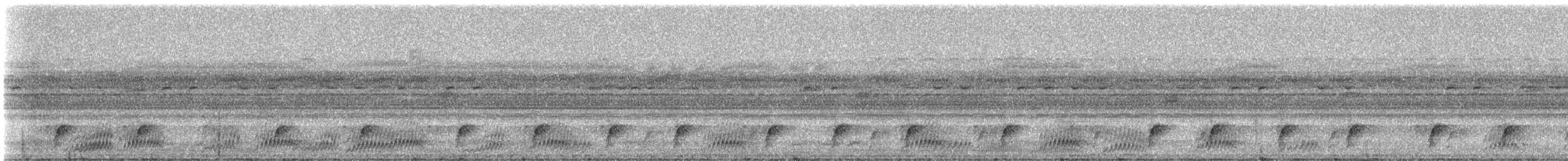 Blackish Nightjar - ML331340