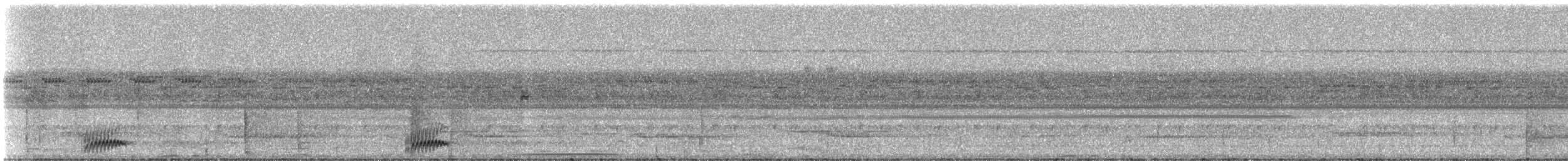 Blackish Nightjar - ML331343