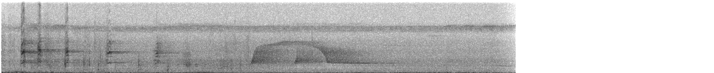 Grauflügel-Trompetervogel - ML331363