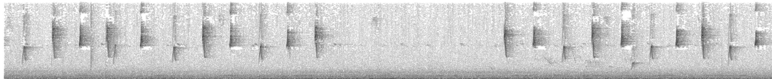 hvitgumpkolibri - ML331363211