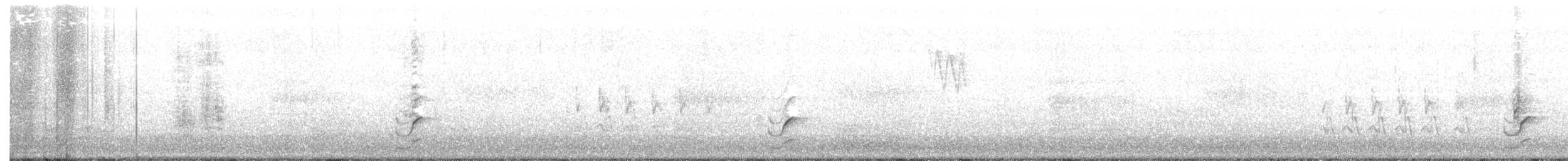 Carolinasumpfhuhn - ML331389011