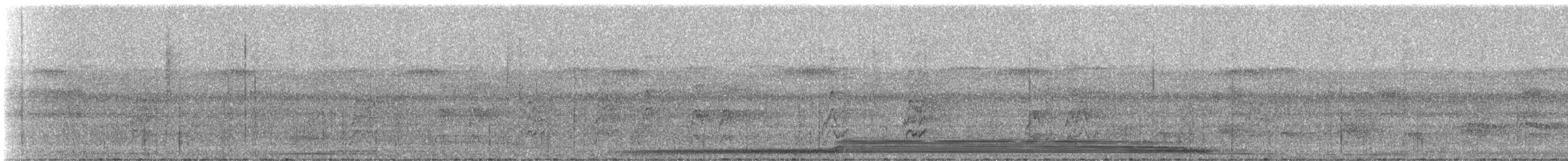 Capuchinbird - ML331407