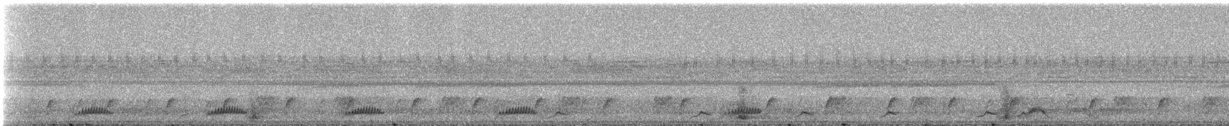 Blackish Nightjar - ML331411