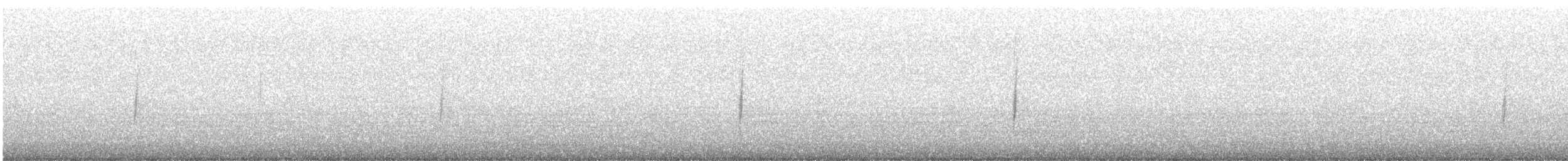 Least Flycatcher - ML331451781