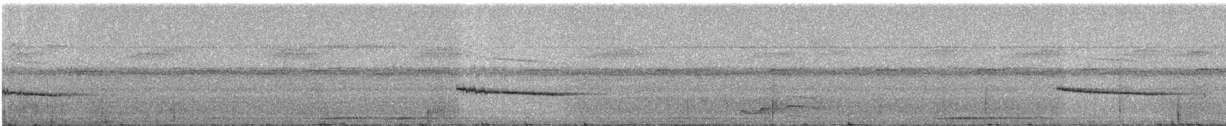 Collared Gnatwren - ML331453