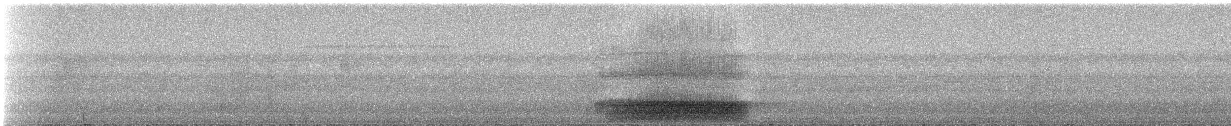 Capuchinbird - ML331467