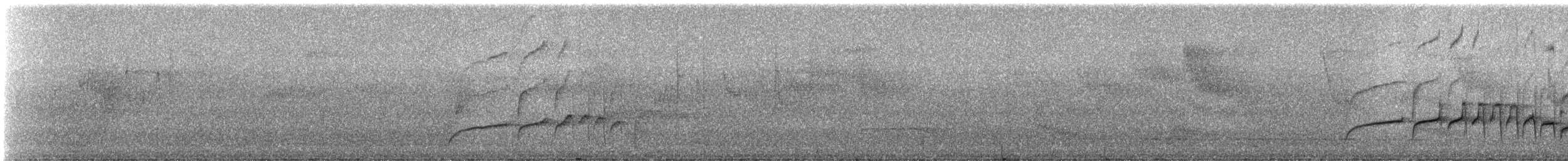 Fourmilier à gorge rousse - ML331475