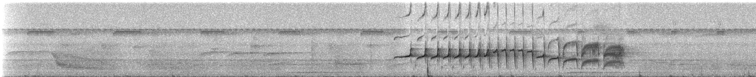 Fourmilier à gorge rousse - ML331476