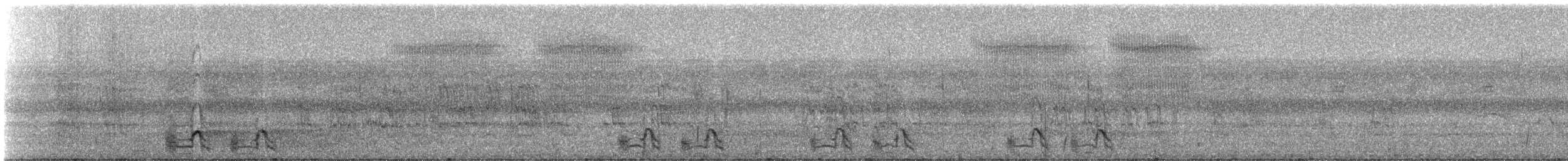 Yellow-crowned Amazon - ML331483