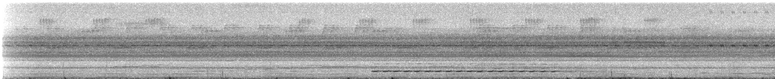 ハーディスズメフクロウ - ML331505