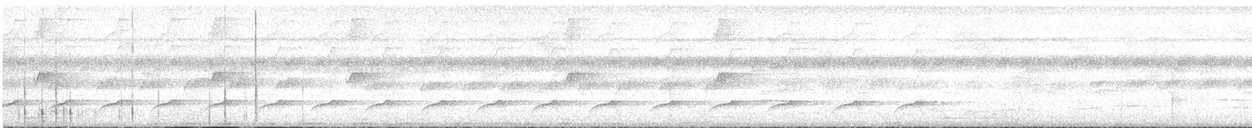 Лінивка-строкатка чорновола - ML331505071