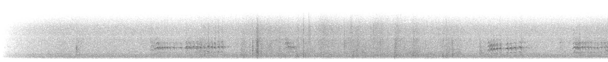 Weißbrustkleiber [lagunae-Gruppe] - ML33150661