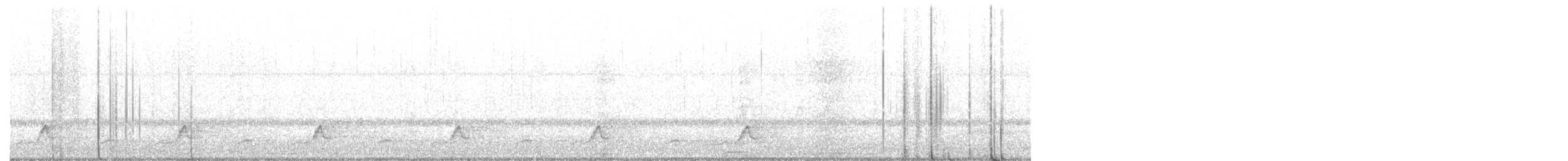 Schwarzkehl-Nachtschwalbe - ML331509851