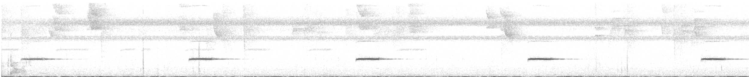 Troglodyte balafré - ML331511651
