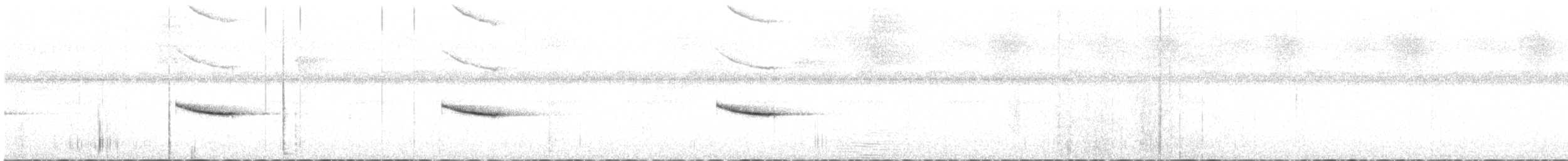 Troglodyte balafré - ML331511691