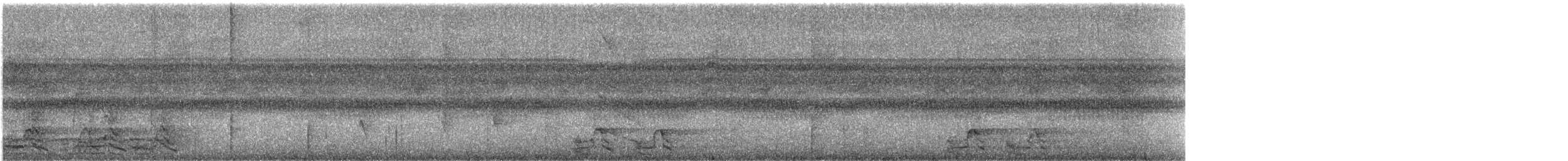 Yellow-crowned Amazon - ML331514