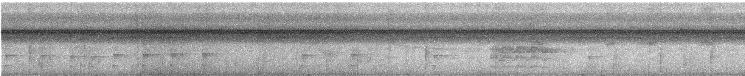 オオハシタイランチョウ - ML331515