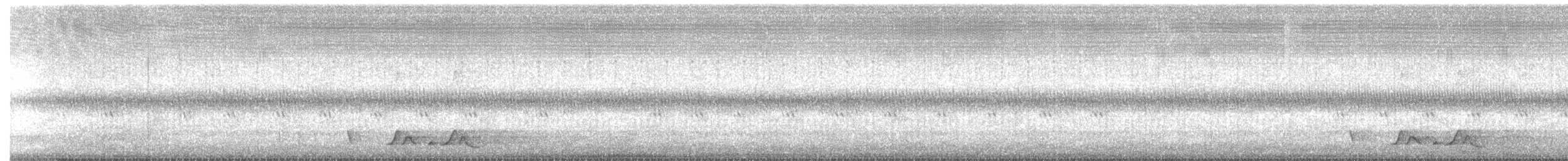 Chuck-will's-widow - ML331516881