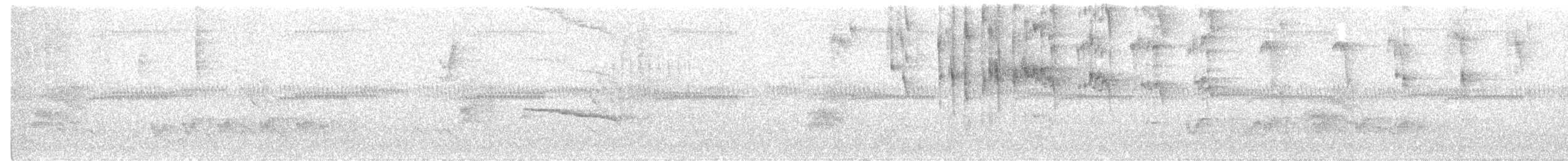 Large-tailed Antshrike - ML331517731