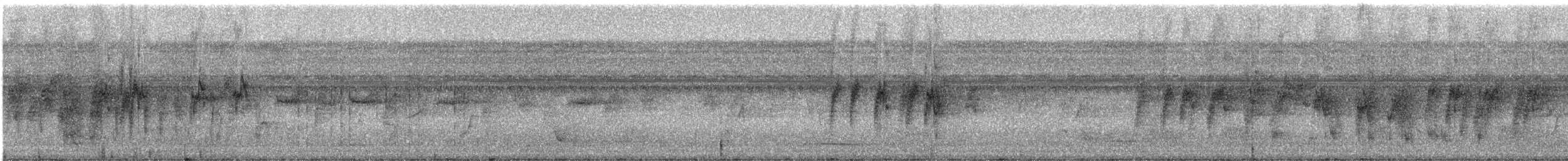 Папуга-горобець темнодзьобий (підвид sclateri) - ML331518