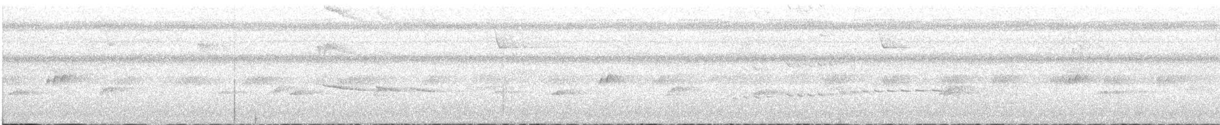 White-eared Conebill - ML331519311