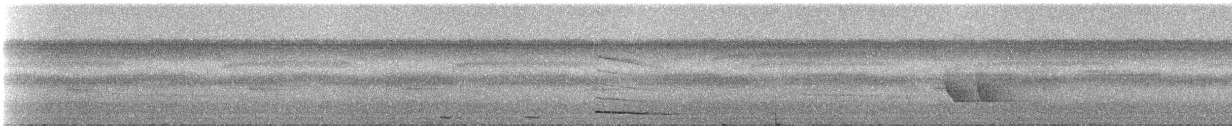 Solitary Black Cacique - ML331559