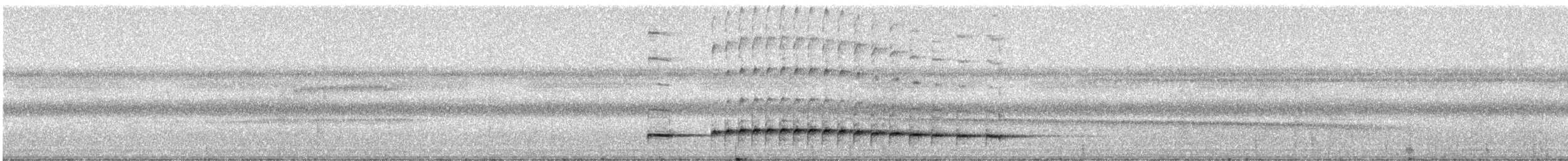 Black-faced Antthrush (Black-faced) - ML331571