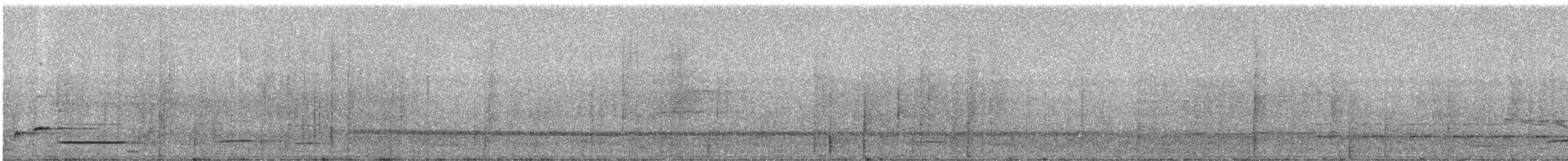 Musician Wren - ML331572