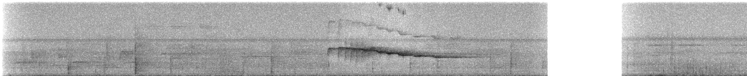 Black-tailed Leaftosser - ML331576