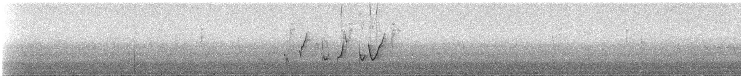 キバシイカル - ML331589