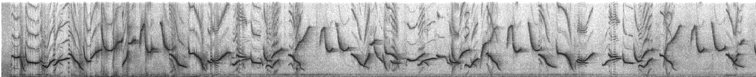 Inca Wren - ML331590