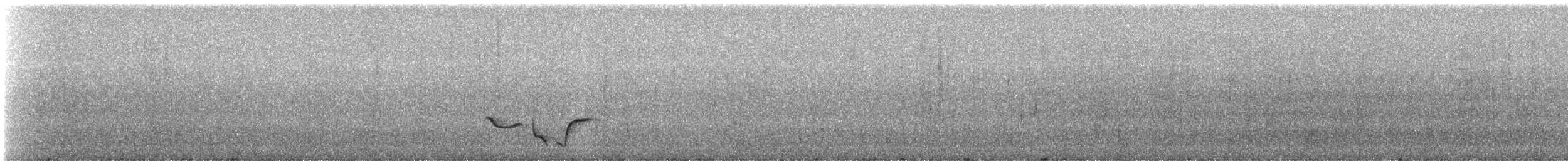 Inca Wren - ML331592