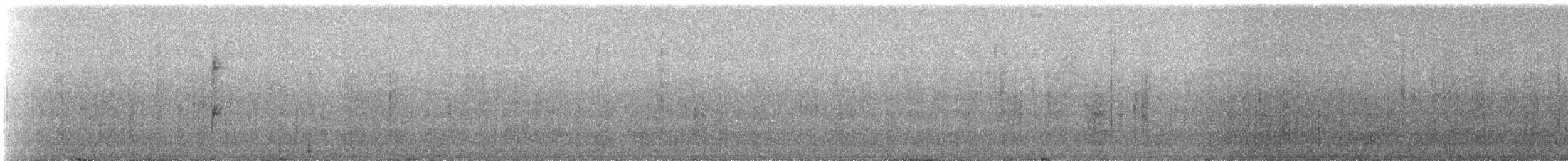 Mottle-cheeked Tyrannulet - ML331593