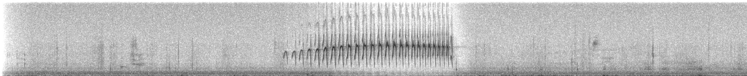 Puna Thistletail - ML331595