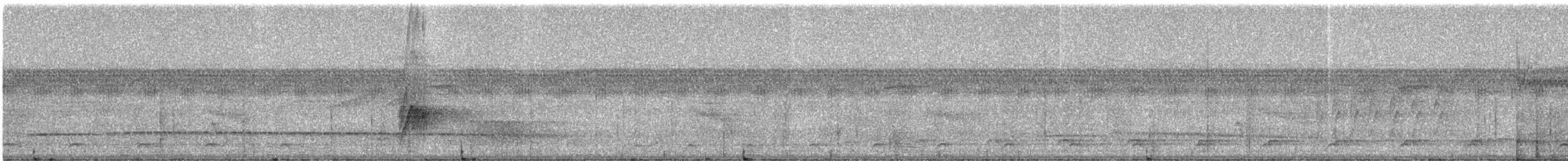 Ash-throated Gnateater - ML331597