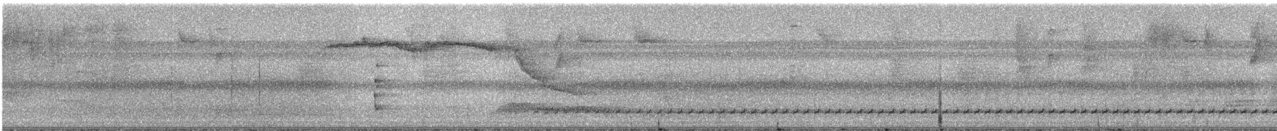 White-necked Puffbird - ML331599