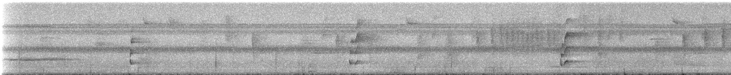 White-bellied Pygmy-Tyrant - ML331600