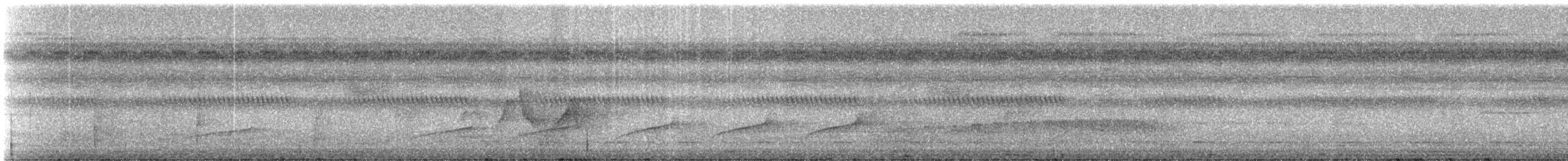 Gray Antwren - ML331601