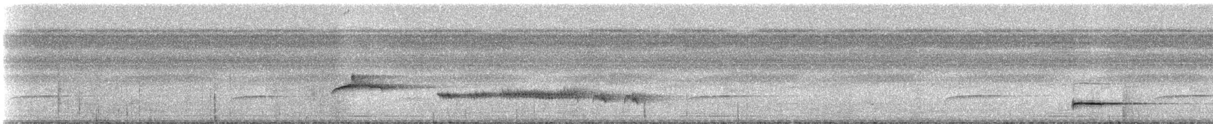 Lawrence's Thrush - ML331602