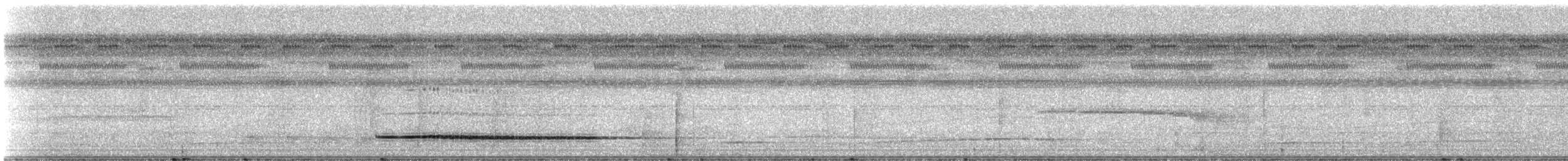 Little Tinamou - ML331603