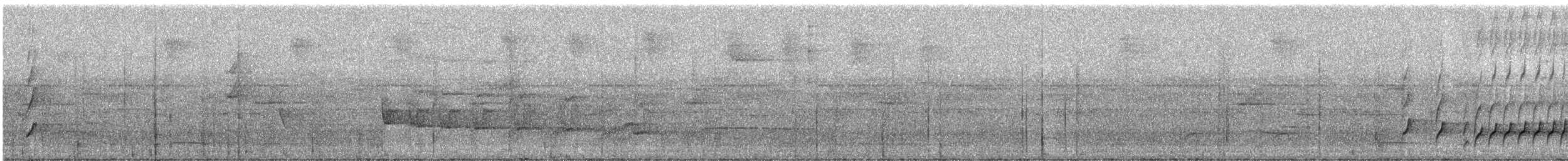 Brown-rumped Foliage-gleaner - ML331604