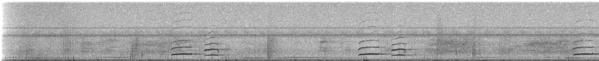 Large-headed Flatbill - ML331607