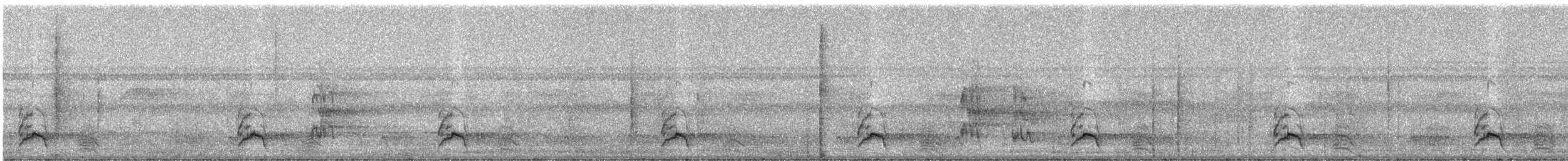 Black-bellied Cuckoo - ML331608