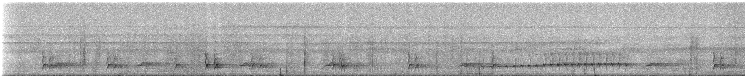 Plumbeous Antbird - ML331609